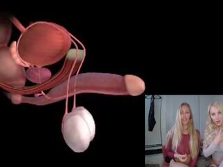 Uros- orgasmia anatomy explained educational joi: vapaa seksi klipsi 85
