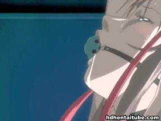 Mix of klip by hentai niches