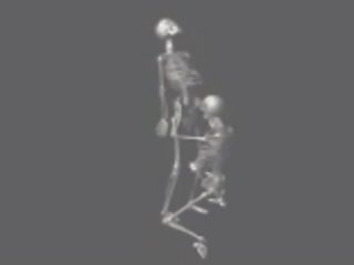 Follando skeletons